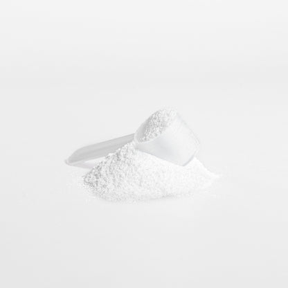 Creatine Monohydrate Powder, 8.8 oz