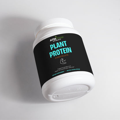 Chocolate Plant Protein Powder