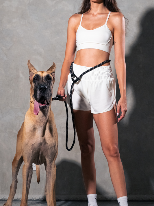 Blackout Running Hands-Free Dog Leash