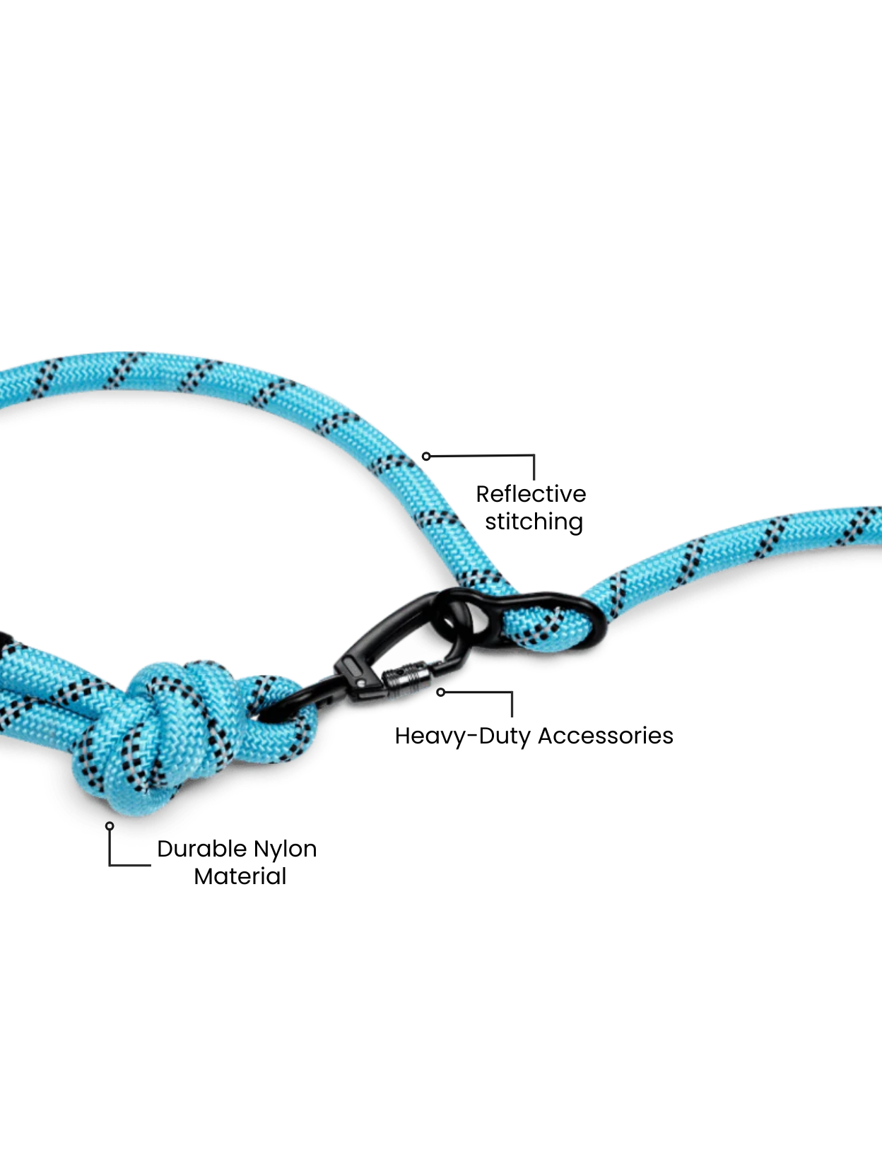 Aqua Blue Running Hands-Free Dog Leash