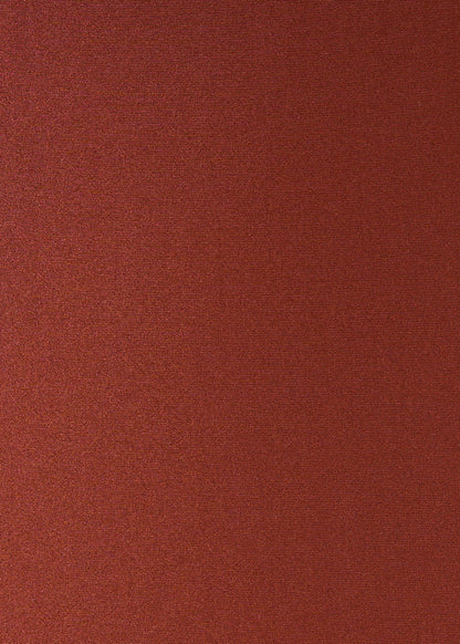 Copper Long Sleeve Top