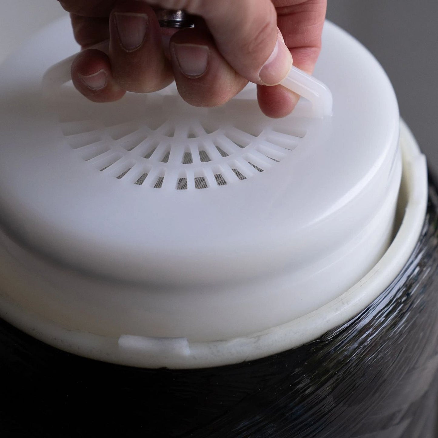 Echo Whole Home Water Filter