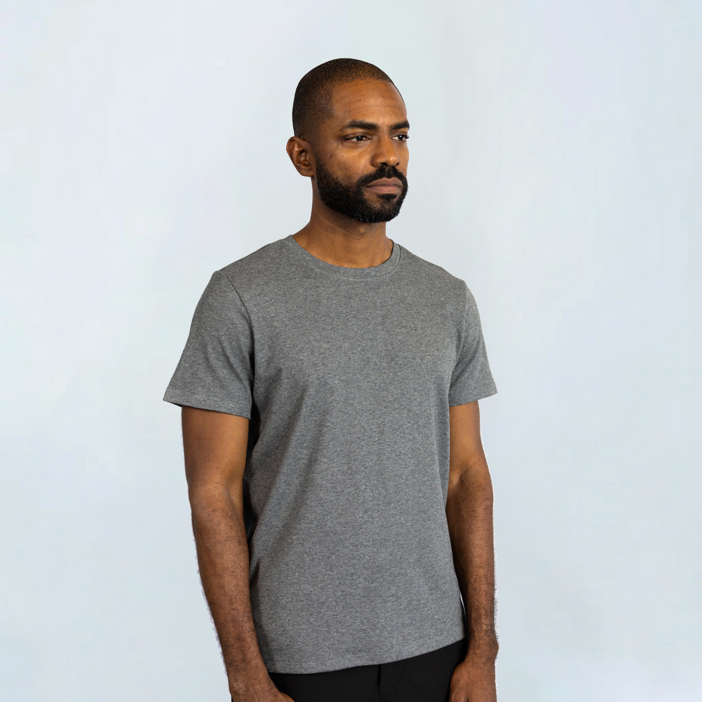 Short Sleeve Perfect Tee