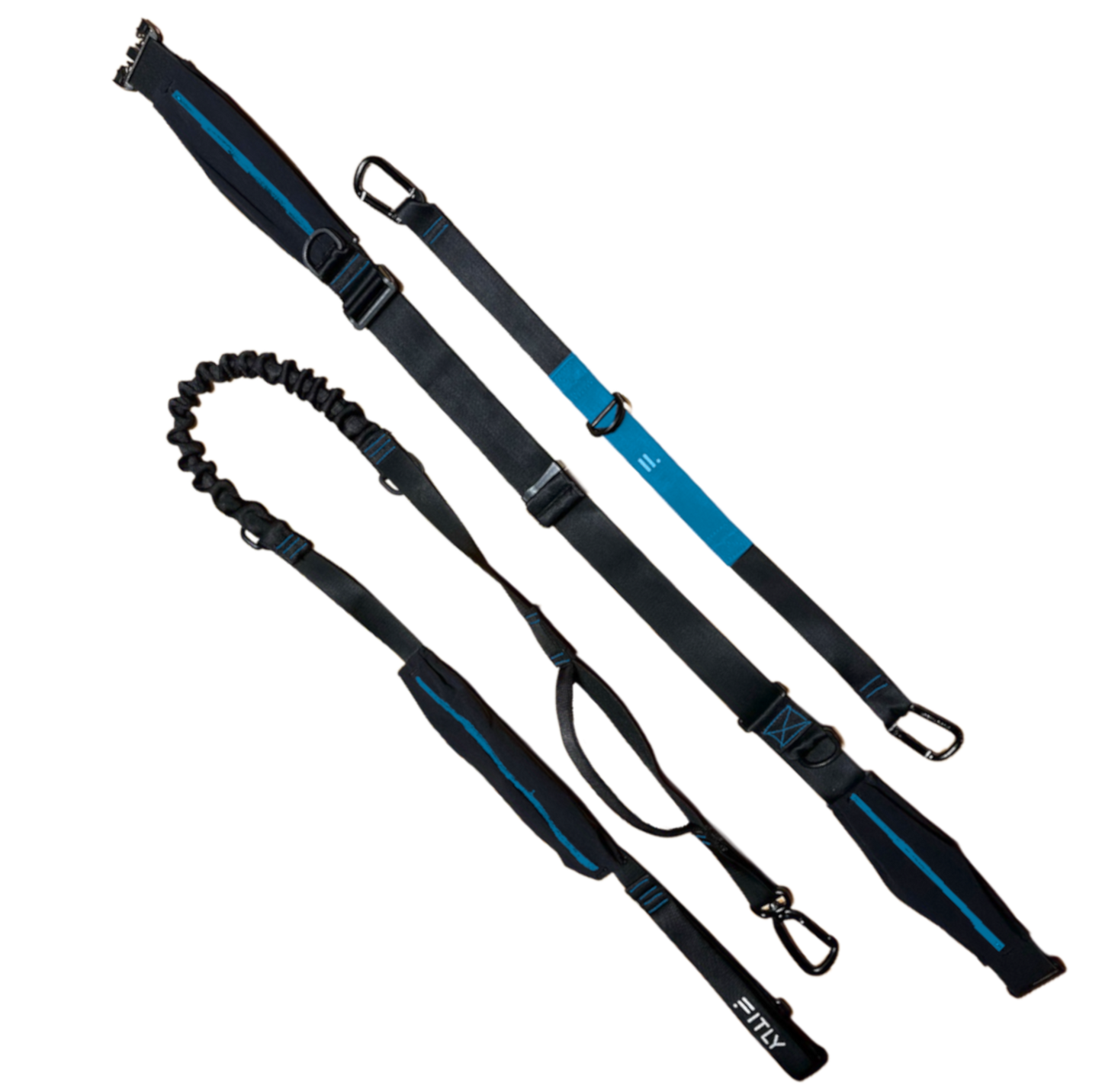 FITLY Running Belt + Dog Leash - BLUE