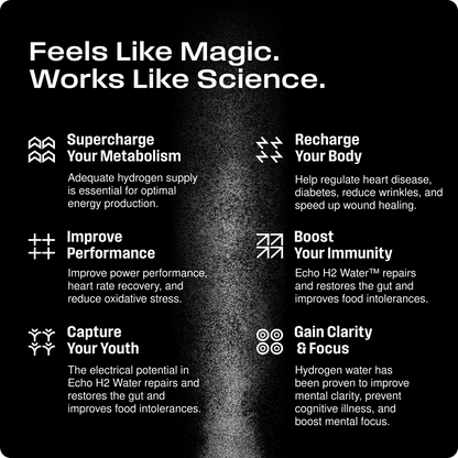 Echo Flask Hydrogen Water Bottle