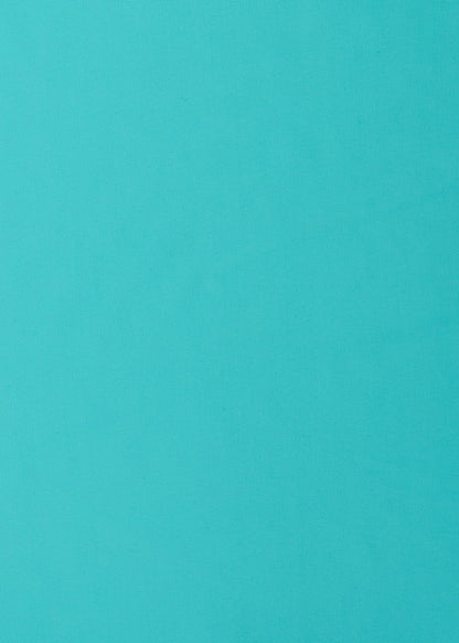 Aqua Embroidered Convertible Ruched Rashguard