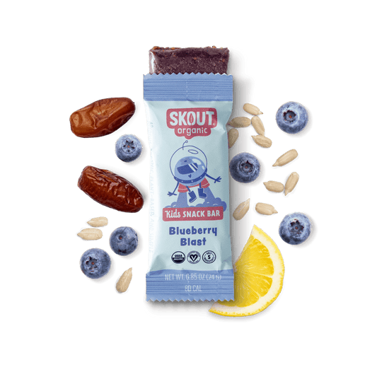 Skout Organic Blueberry Blast Kids Bar