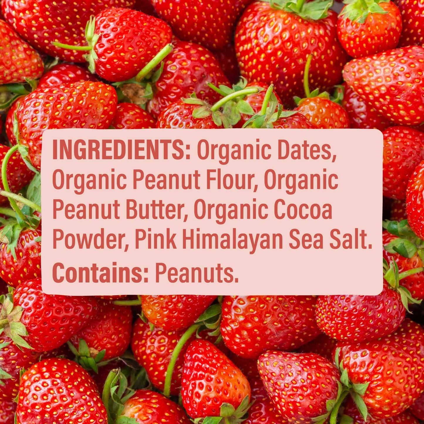 Skout Organic Peanut Butter & Jelly Kids Bar