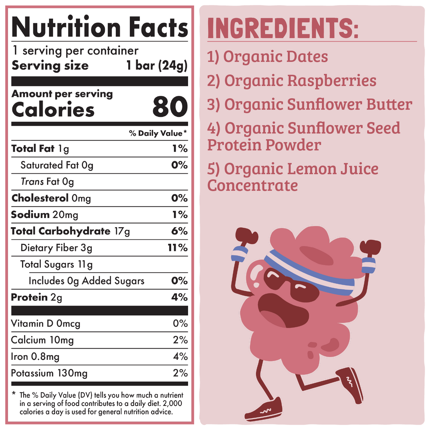 Skout Organic Raspberry Rush Kids Bar