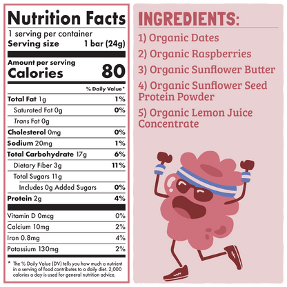 Skout Organic Raspberry Rush Kids Bar