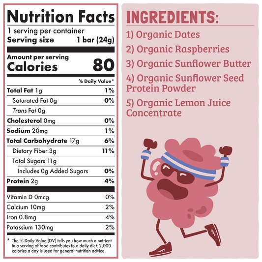 Skout Organic Raspberry Rush Kids Bar