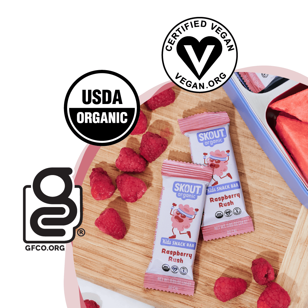 Skout Organic Raspberry Rush Kids Bar
