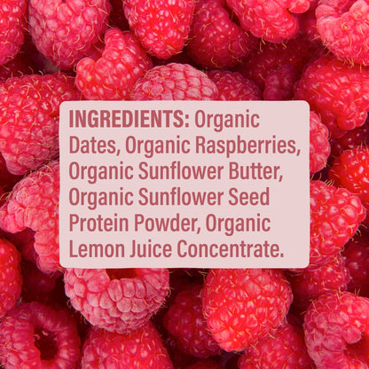 Skout Organic Raspberry Rush Kids Bar