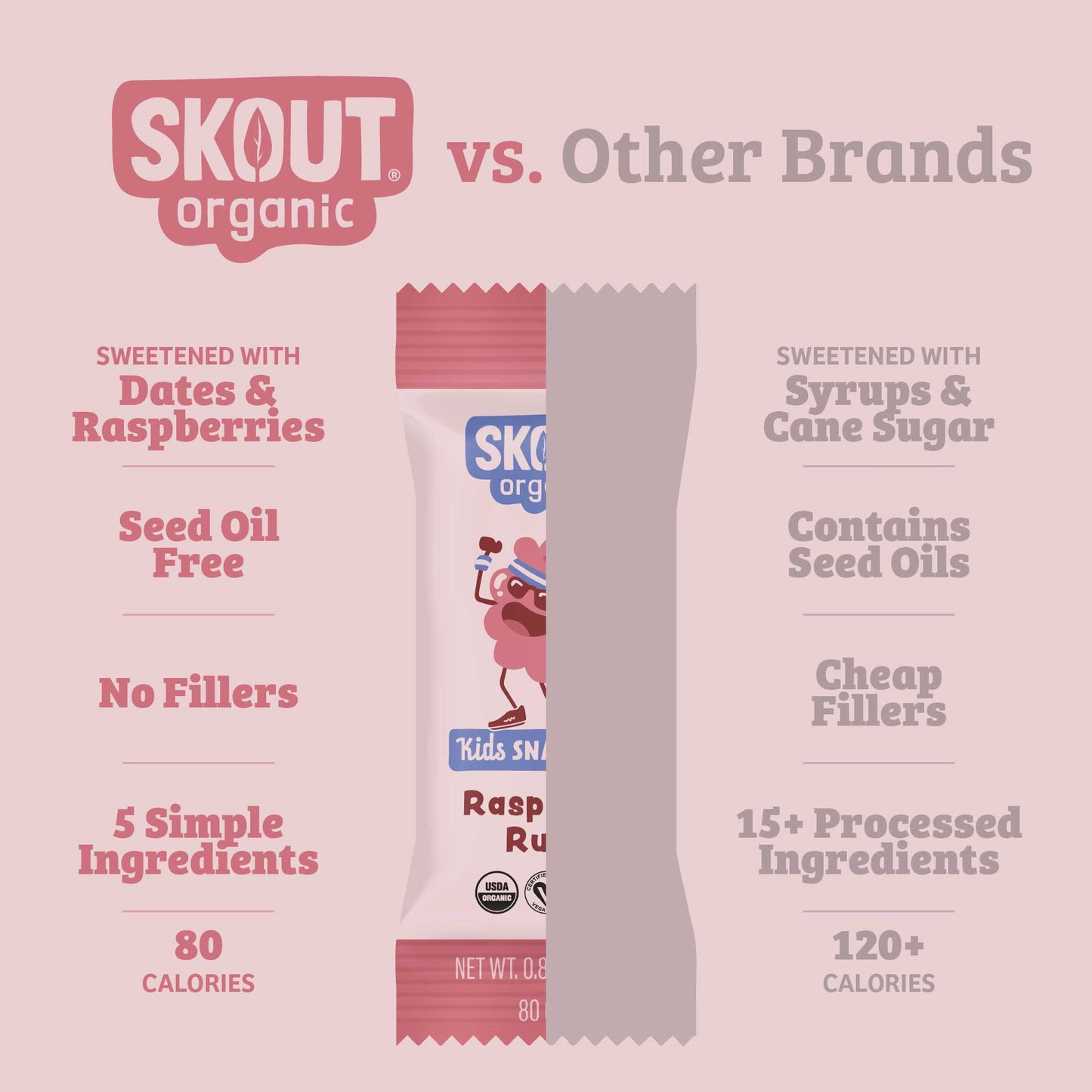 Skout Organic Small Batch Kids Fruit Bar Variety Pack