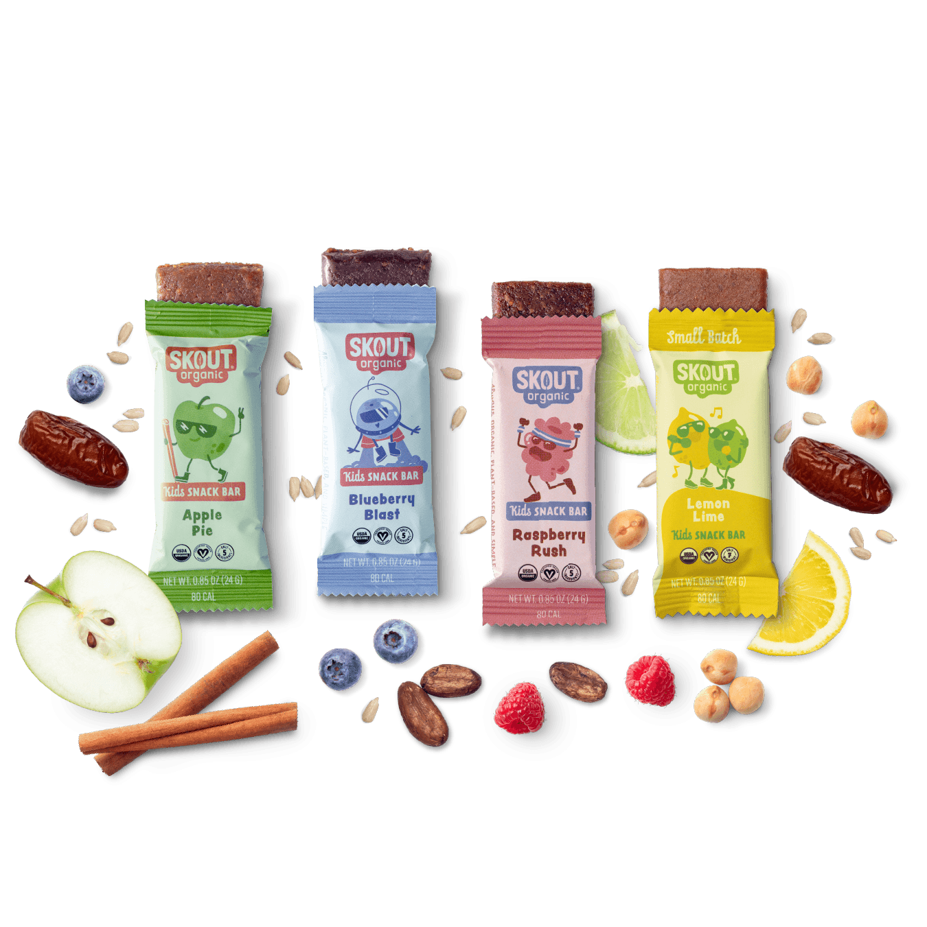 Skout Organic Small Batch Kids Fruit Bar Variety Pack