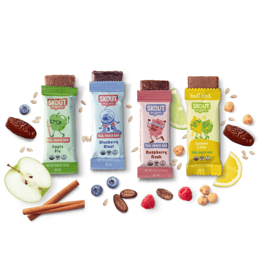 Skout Organic Small Batch Kids Fruit Bar Variety Pack